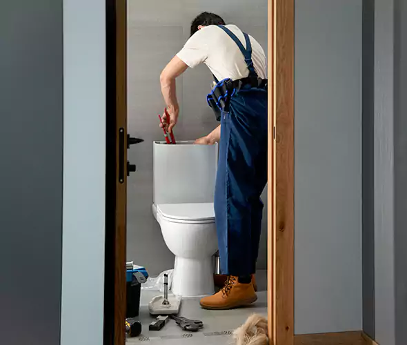 Professional Plumbers for Toilet Bowl Replacement in Visalia, CA: Schedule Affordable Toilet Replacement Services With Us