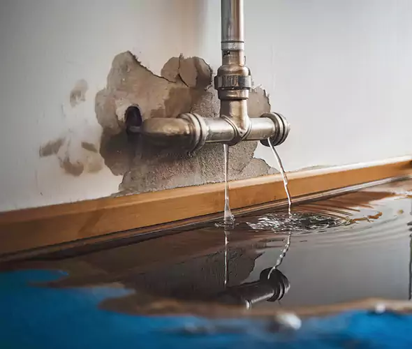 Professional Water Damage Restoration Experts in Visalia, CA — Fast, Reliable & Certified