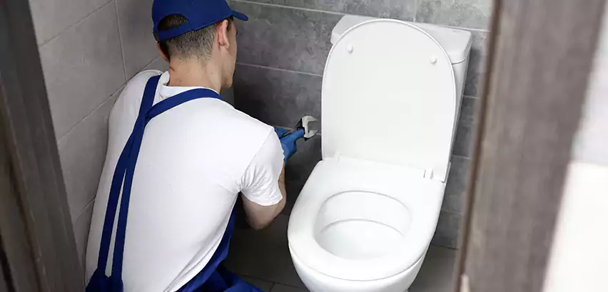 Toilet Lid Replacement in Visalia