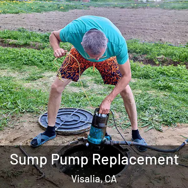  Sump Pump Replacement Visalia, CA