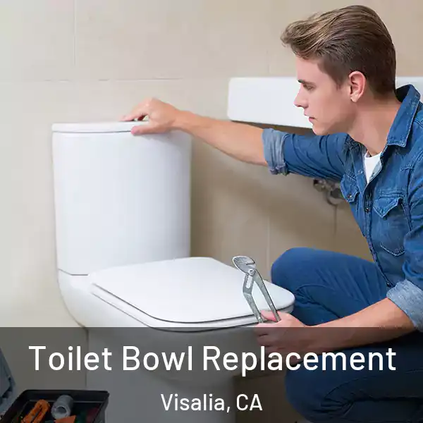  Toilet Bowl Replacement Visalia, CA
